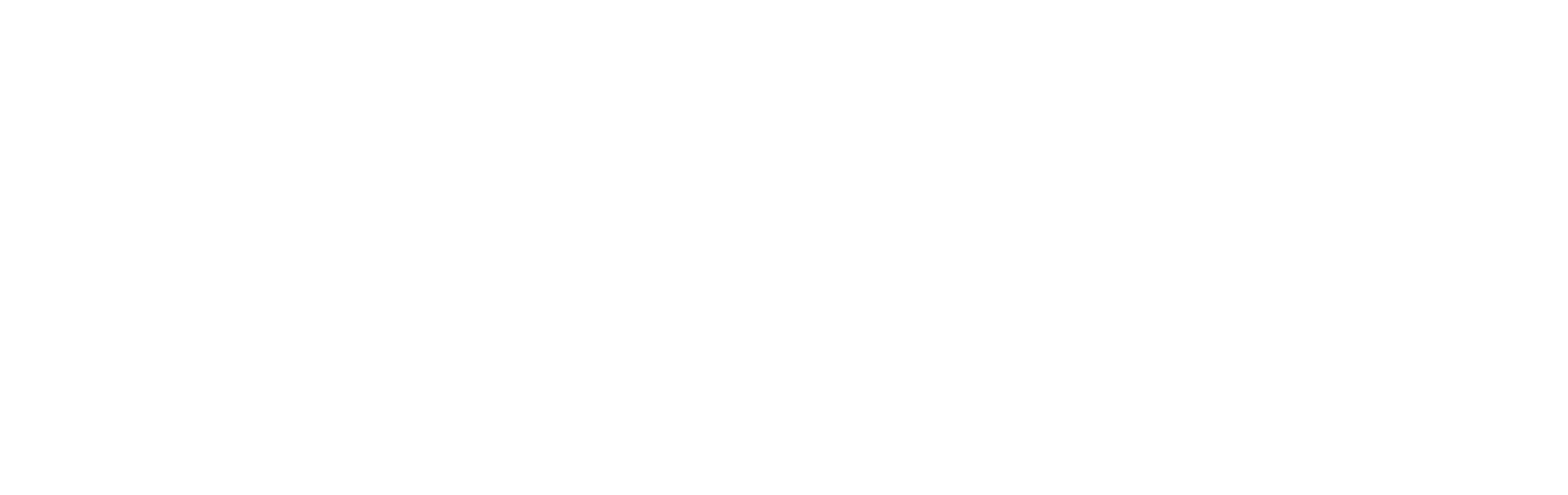 ACME real estate logo